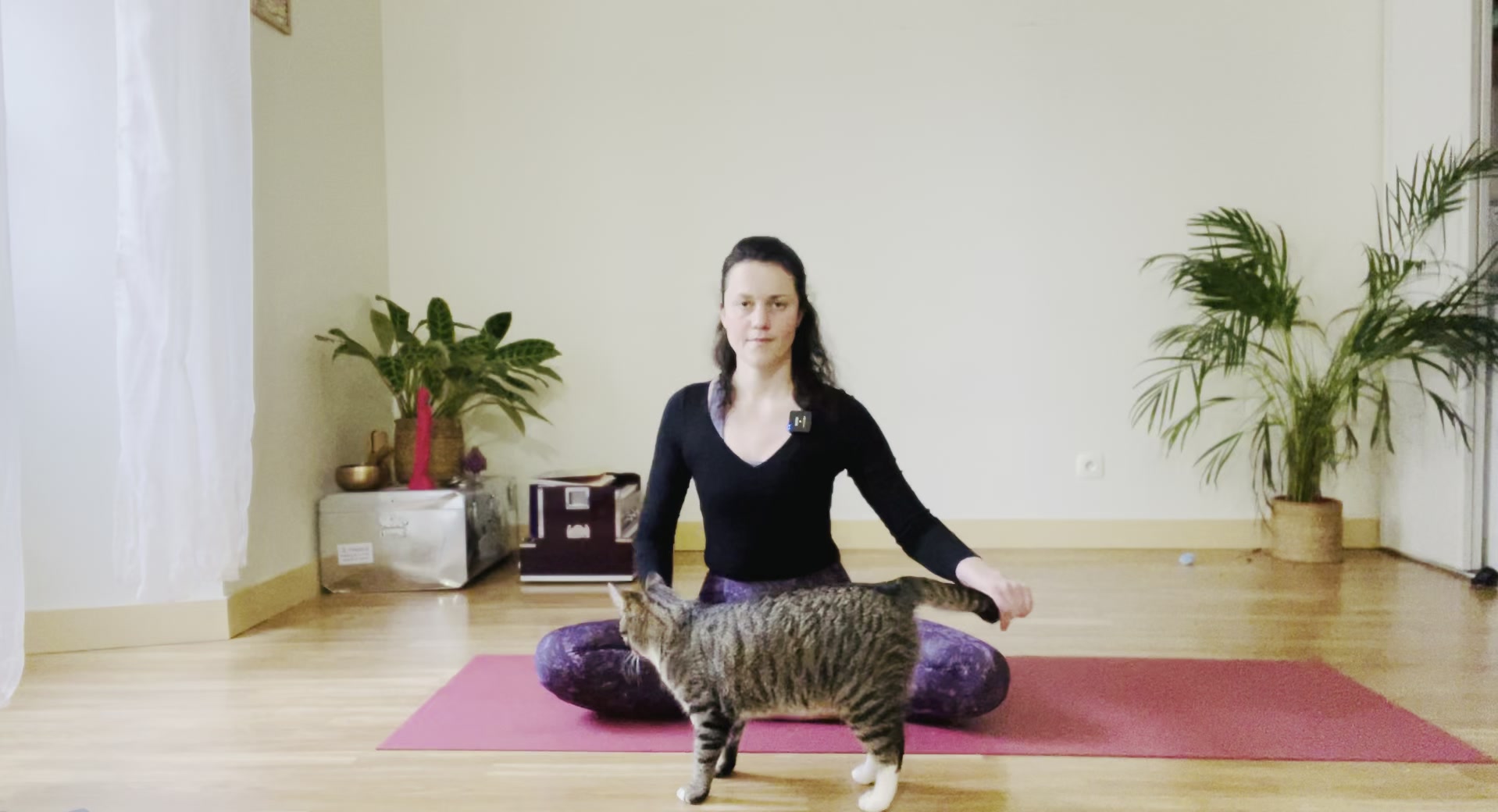 Équilibre Émotionnel